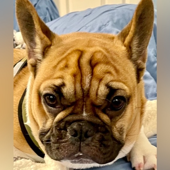 Meet your Posher, Michele - Picture 9 of 16